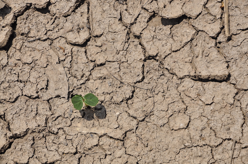 California Water Restrictions